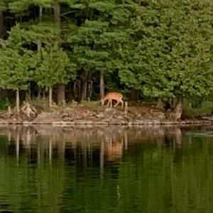 Meet your Posher, Lindsey